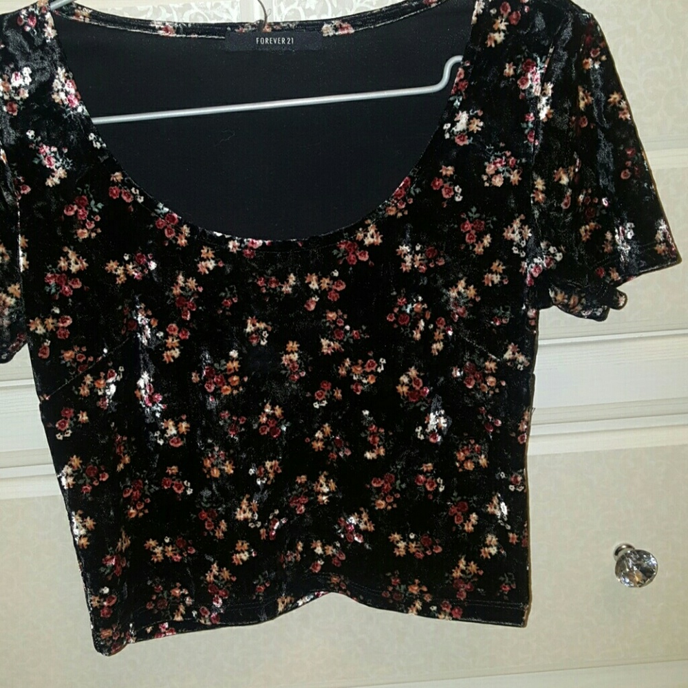 Velvet croptop